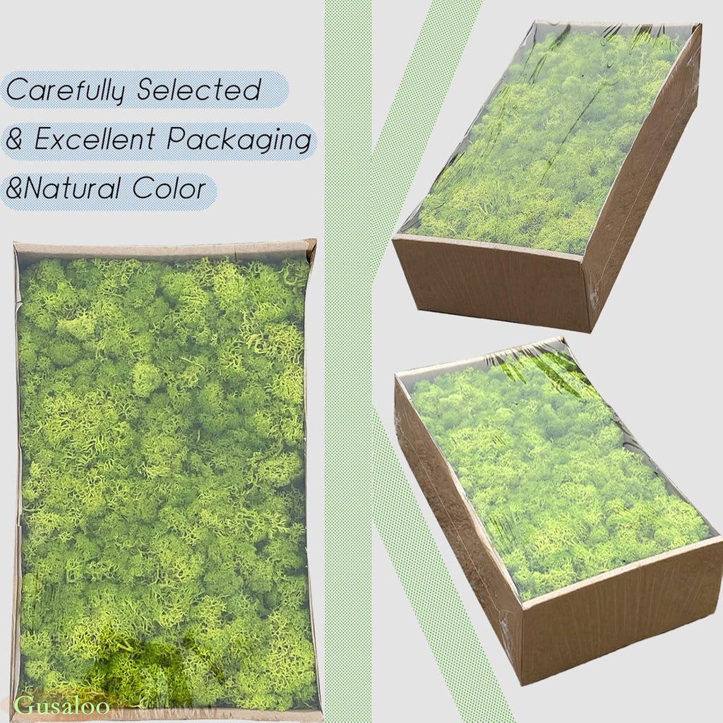 Preserved 1.1lb Moss Artificial Moss Natural Fresh Green Moss for Craft Handicraft Arts Floral Project Wall Decor Table Decor Wedding Centerpieces Garden Terrariums Decoration