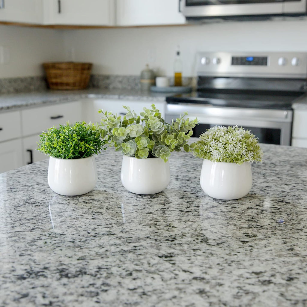 Artificial Plants for Home Decor Indoor. 4 Mini Plants, Rosemary Faux Plant Decor, Eucalyptus Plant, Grass Plants. Small Fake Shelf or Desk Greenery Décor (Ceramic-3)