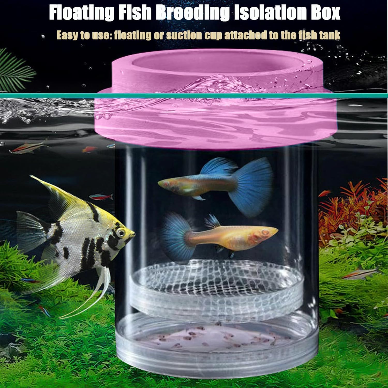 Breeder Box for Fish Tank, Plastic Aquarium Breeding Chamber, Floating Mesh Isolation Hatchery Incubator for Small Fish, Betta Shrimp Clownfish Guppy - Adjustable Nursery Tank Divider (Pink,Large)