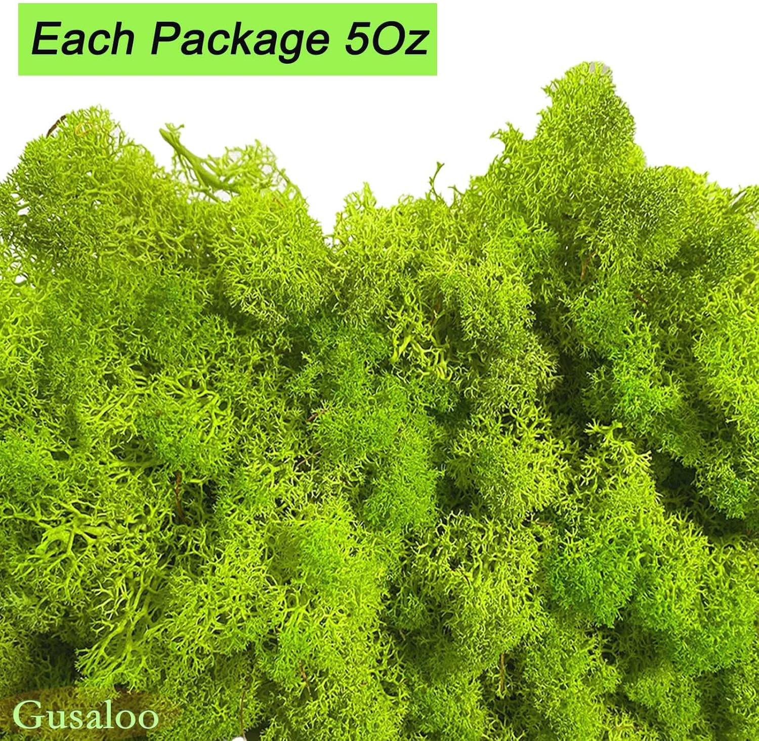 Preserved 5oz Moss Artificial Moss Natural Fresh Green Moss for Craft Handicraft Arts Floral Project Wall Decor Table Decor Wedding Centerpieces Garden Terrariums Decoration