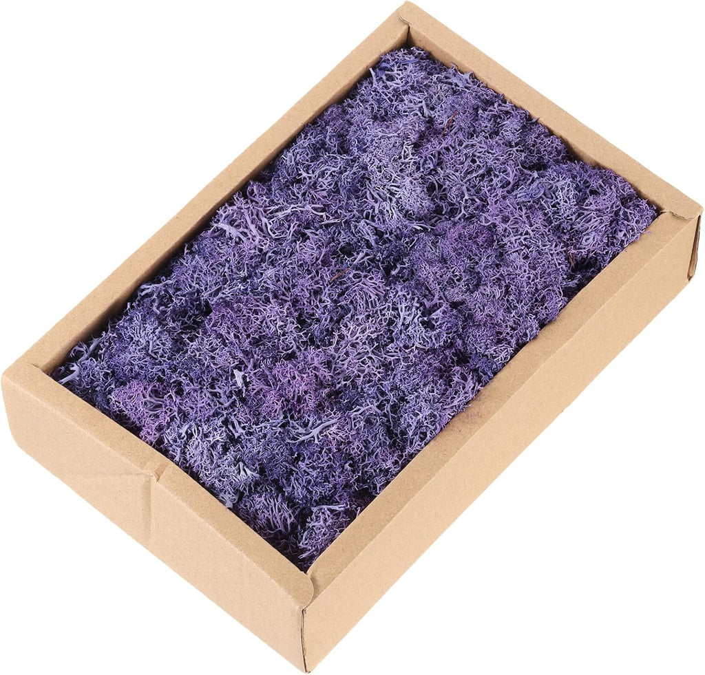 MECCANIXITY 7.8oz Preserved Reindeer Moss, Purple Decorative Artificial Fake Moss for Potted Plants Indoor Crafts Lichen Centerpieces Decor