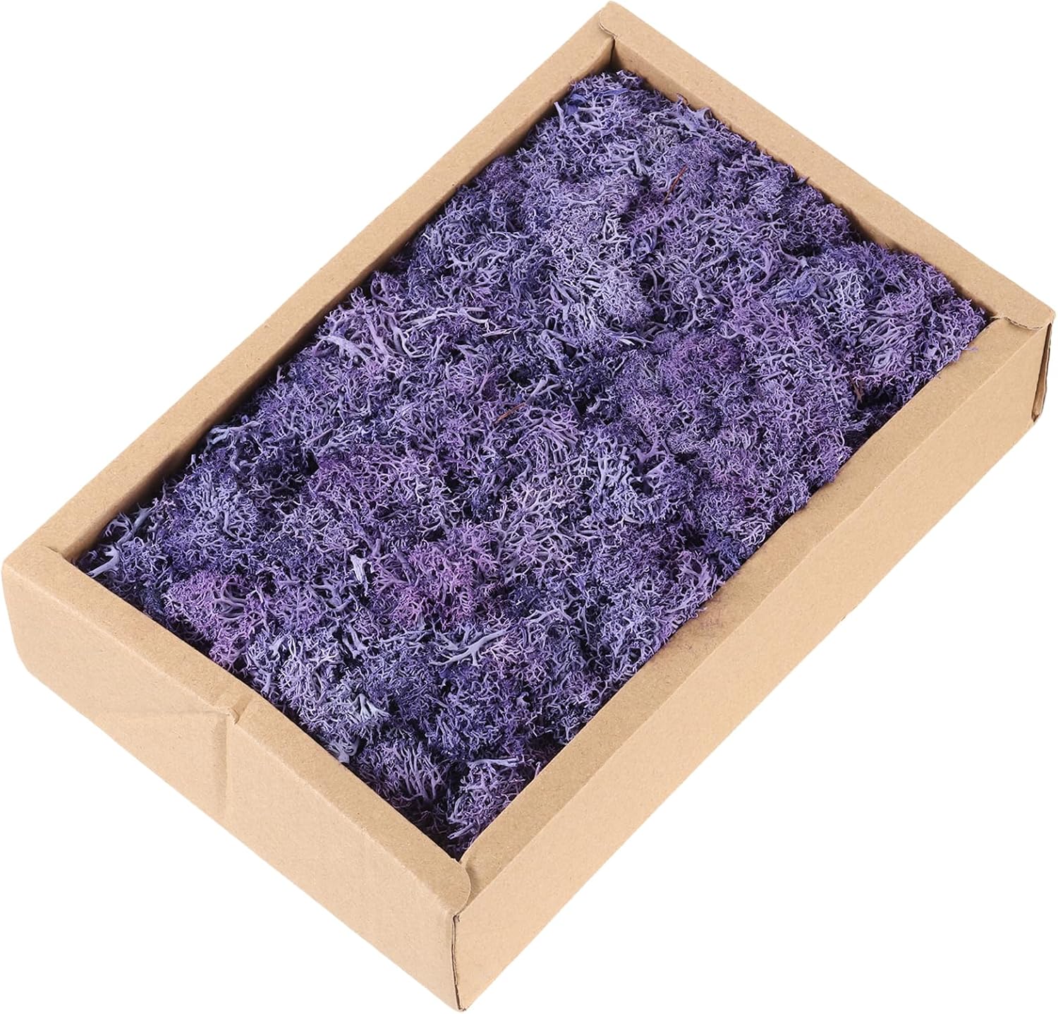 MECCANIXITY 7.8oz Preserved Reindeer Moss, Purple Decorative Artificial Fake Moss for Potted Plants Indoor Crafts Lichen Centerpieces Decor