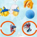 Betta Mirror Enrichment Fish Toys Stimulation, 2 pcs Exercise Feeding Rings And Training Mirror With Floating Ball Toy, Betta Fish Tank Accessories, Small Aquarium Tank Decoration (Orange, M)