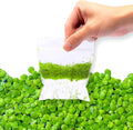 SubstrateSource Live Duckweed (Odorless) - Floating Plant for Freshwater Aquascaping, Turtle Food, Goldfish, Koi, Pond, Terrarium, Betta Fish Tank - Lemna Minor (Aproximately 2000 Plants), 4x4 Bag