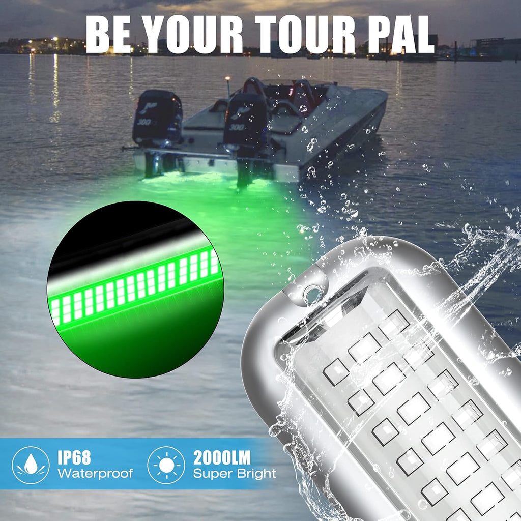 BASIKER BS3 Marine LED Boat Light (2x2000LM 60LED), 10-36V, 316 Stainless Steel, IP68, Air or Underwater, Surface Mount Designed for Cruise Ships, Yachts, Boats, Sailboat, Pontoon, Transom (Green)