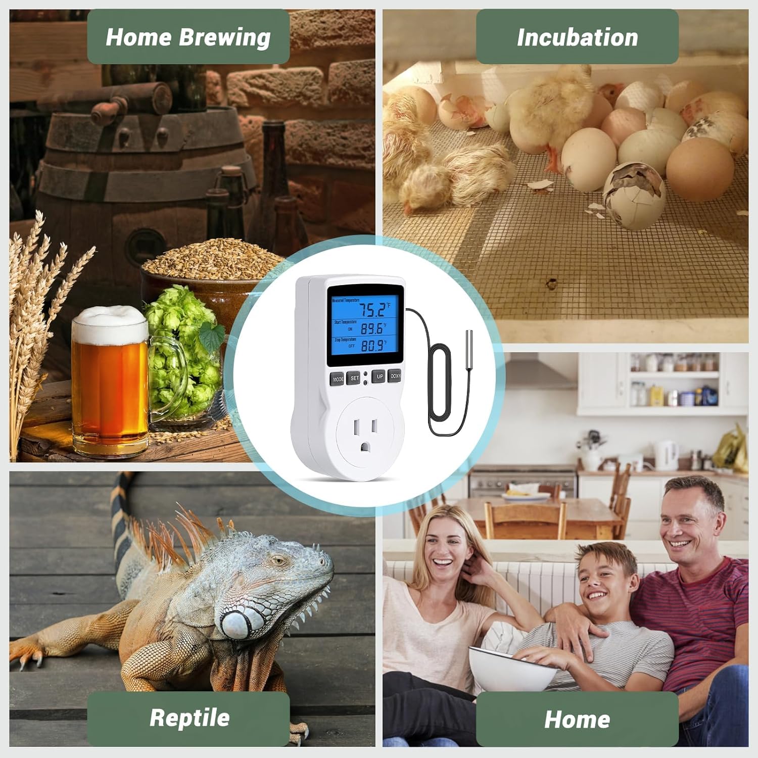 INKBIRDPLUS Plug in Thermostat Temperature Controlled Outlet Digital Thermostat Outlet Heating Cooling Control Timer 1800W 110V 15A Backlit Display (TC/Timer)