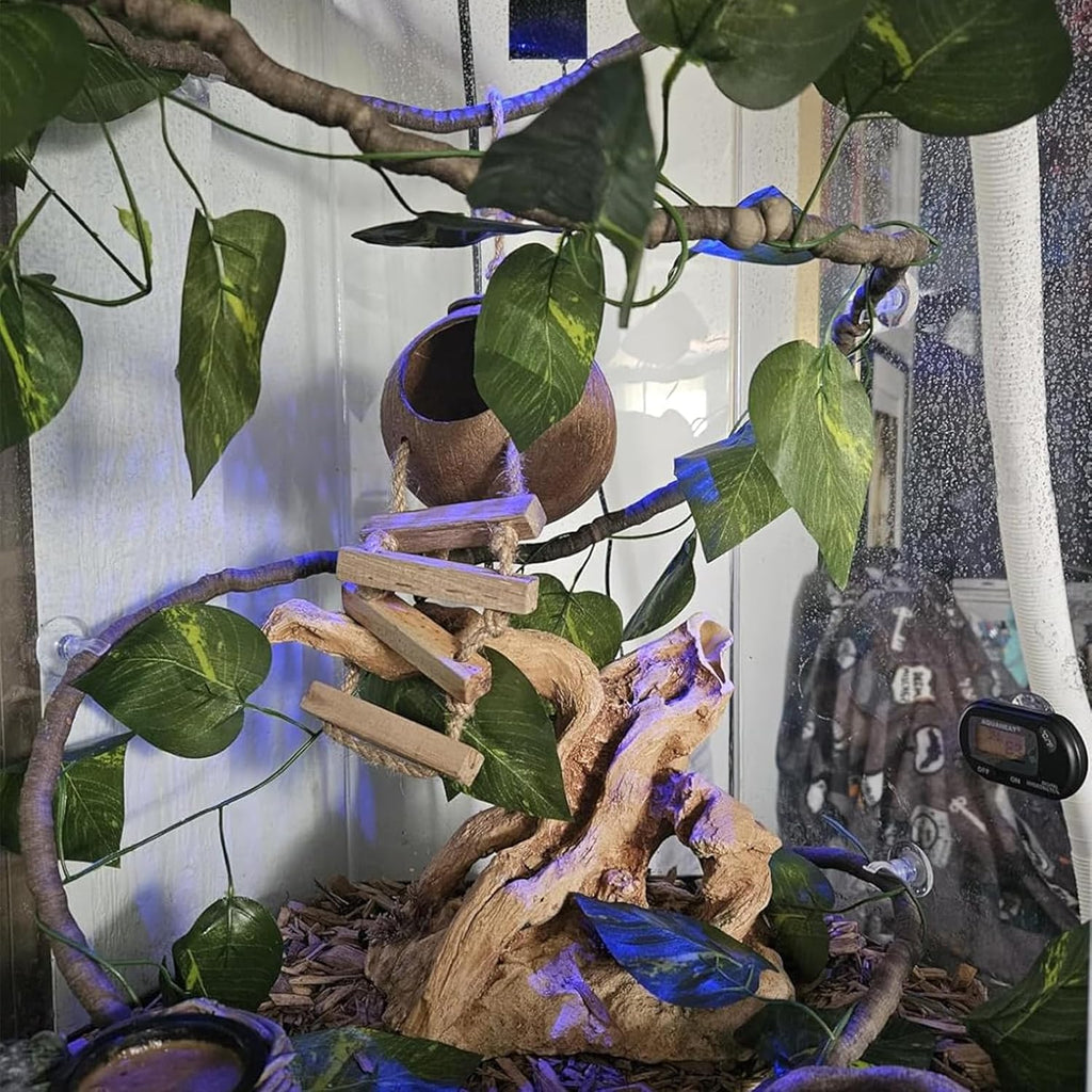 Crested Gecko Tank Accessories,Gecko Coconut Hut Hideout with Ladder Reptile Hammock Lizards Hanging Plants Flexible Climbing Jungle Vine Leaves Terrarium Decor