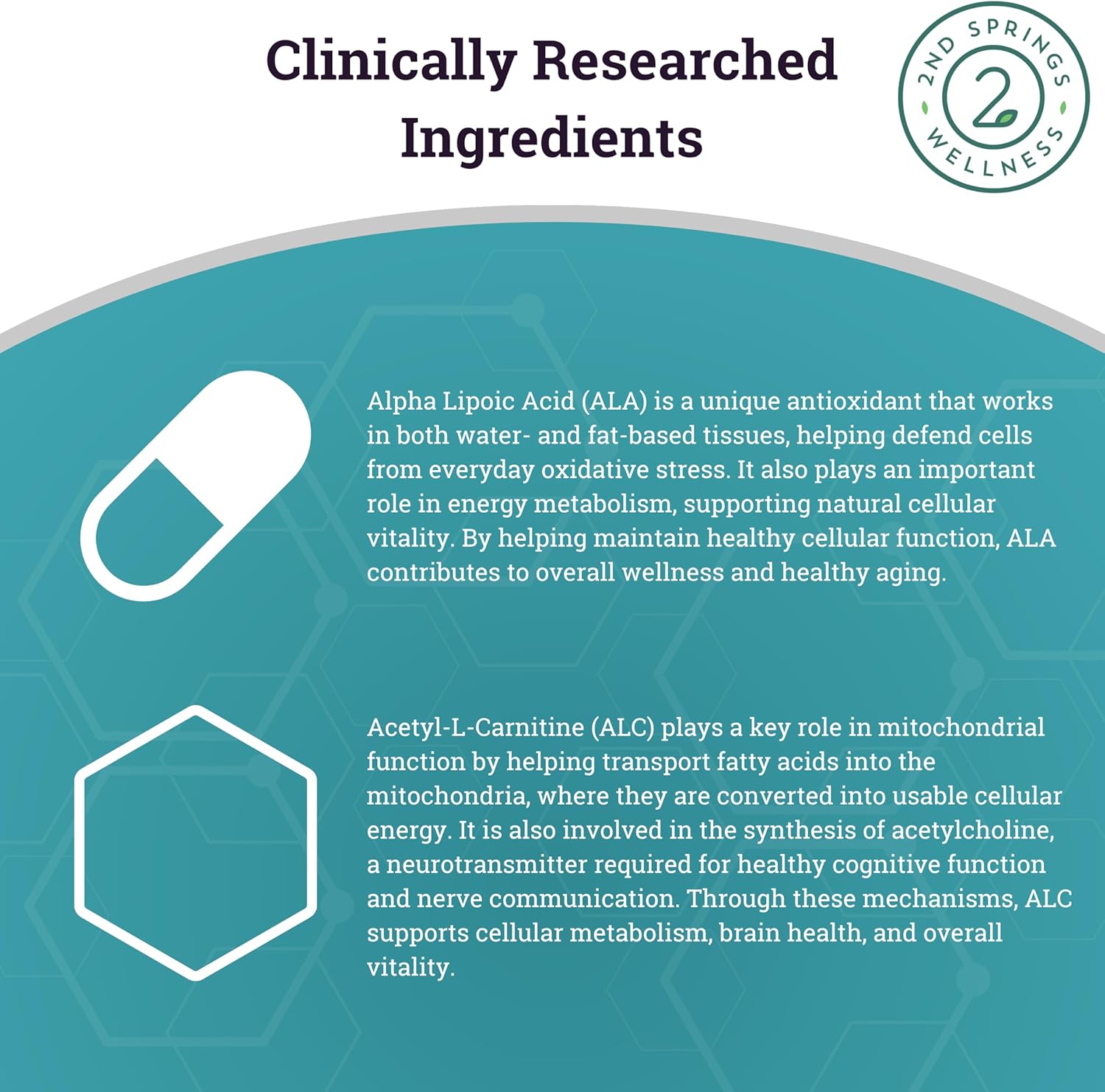 ALA + ALC Complex | Alpha Lipoic Acid (225 mg) + Acetyl-L-Carnitine (525 mg) - Antioxidant & Mitochondrial Support | Promotes Energy, Focus & Healthy Aging, 60 Capsules