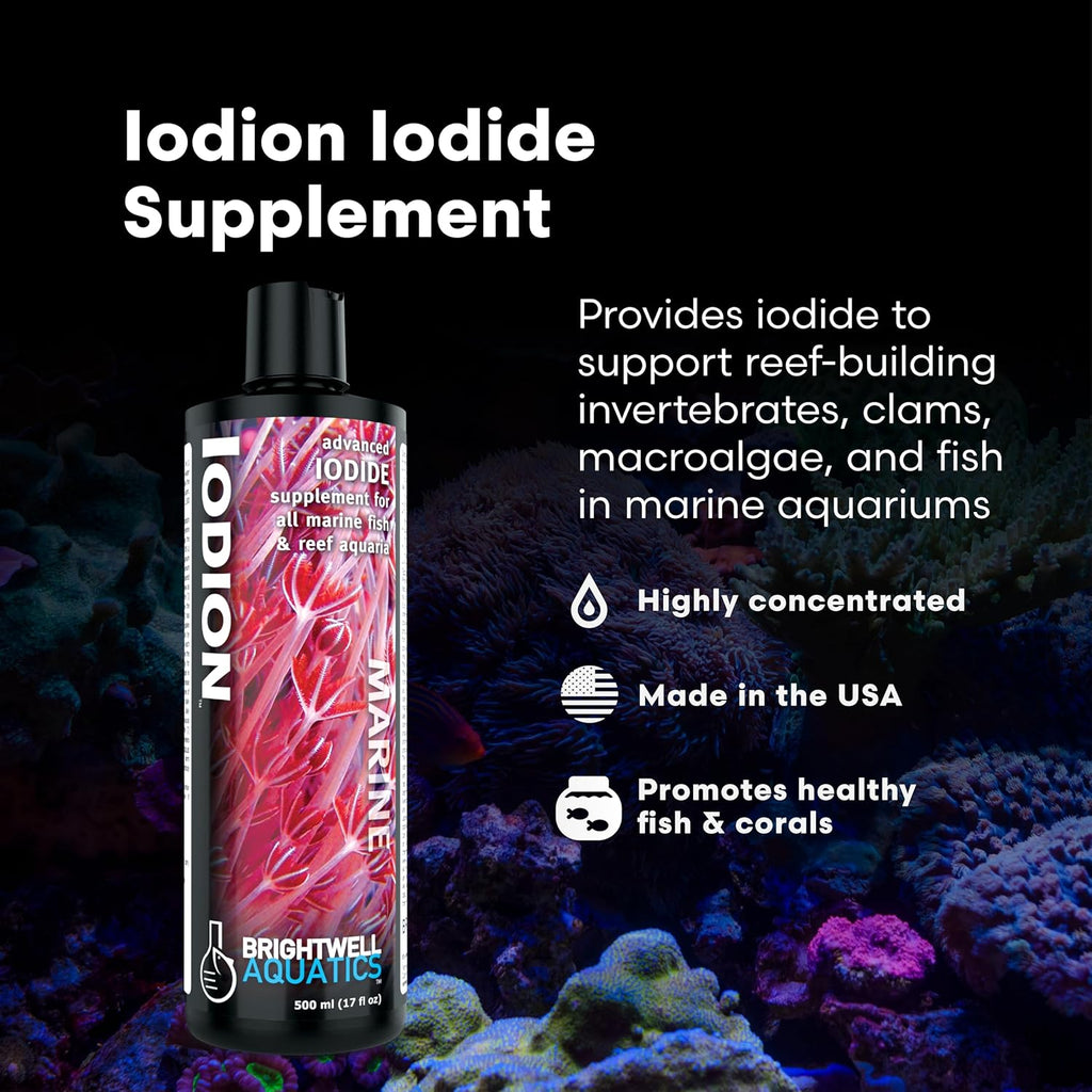 Brightwell Aquatics Iodion Iodide Supplement for Corals Clams Fish Macroalgae Enhances Polyp Extension Lighting Tolerance in Reef Marine Aquariums, 250 ml
