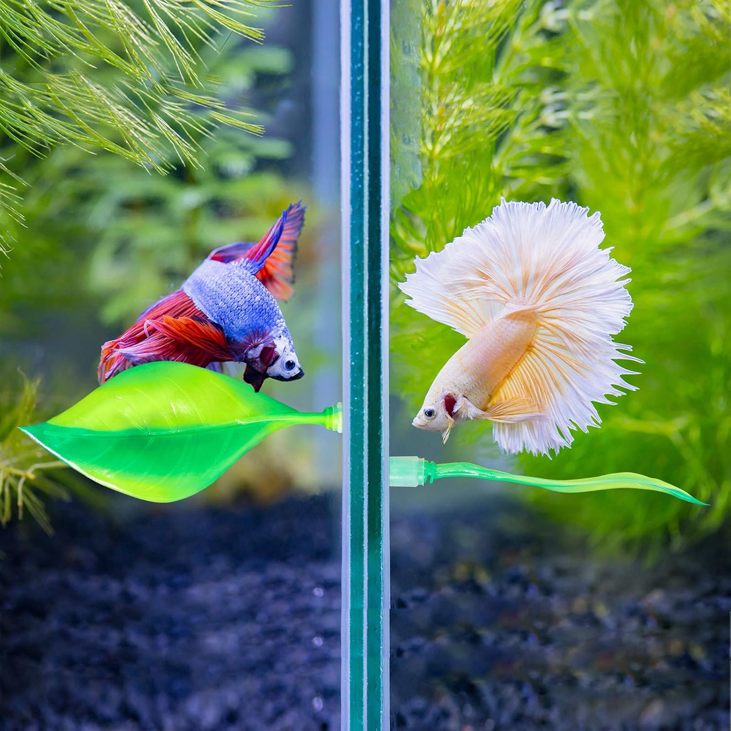 WILLBOND 2 Pieces Silicone Betta Fish Bed Leaf Hammock Betta Fish Tank Accessories, Practical Resting Spot, No Bpa, Comfortable and Safe(Green)