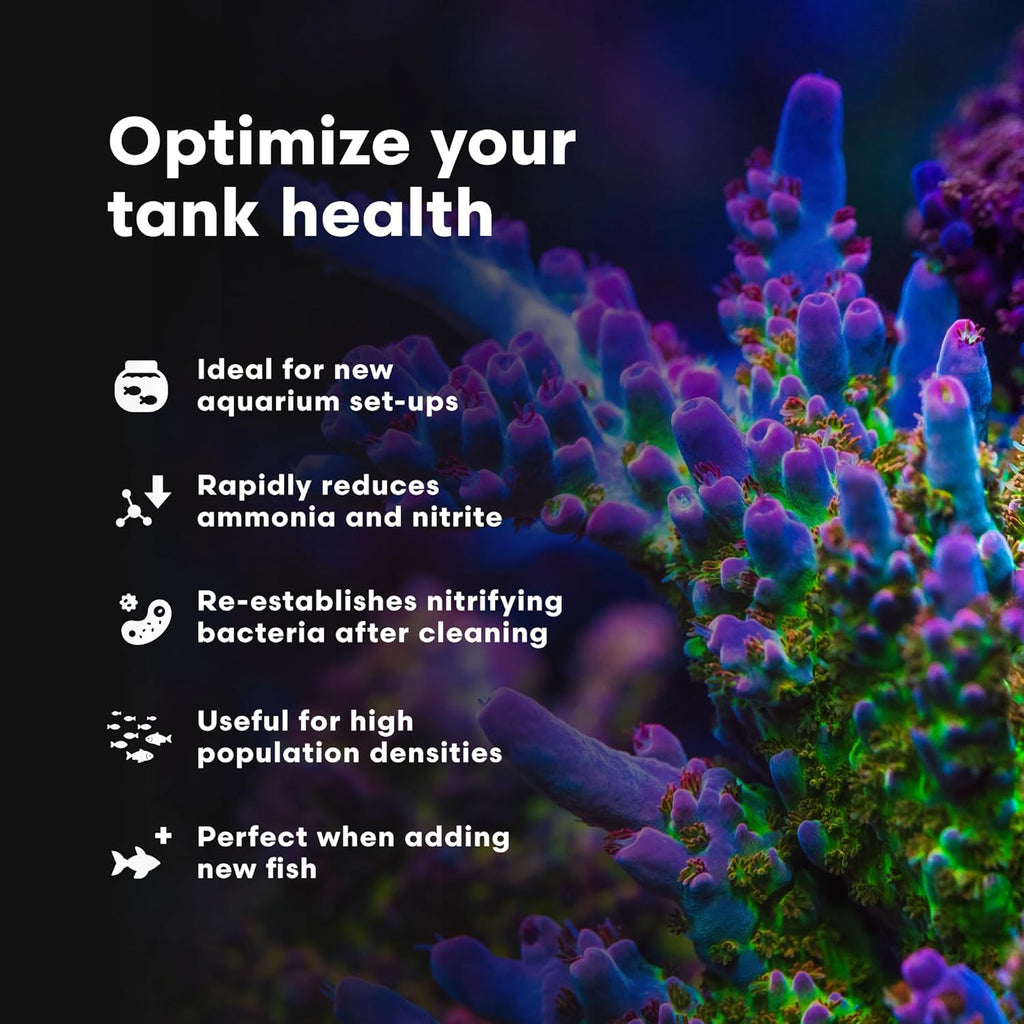 Brightwell Aquatics MicroBacter Start XLM - Concentrated Freshwater Nitrifying Bacteria - Quick Start Fish Tank Starter, Lift Microbe Levels & Water Filtering - Aquarium Water Treatments, 135.2 fl oz