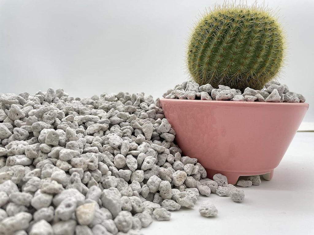 Pumice for Bonsai, Succulent, Cactus, Alocasia, Monstera, and Tropical Aroids | 20 Quarts Bag | 1/4” Particle Size | The Bonsai Supply