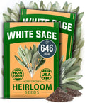 HOME GROWN White Sage Seeds 646 Pack Heirloom Seeds - Grow Aromatic Sage Plants for Your Herb Seeds Garden with Sage for Planting Outdoor or Indoor (Salvia apiana)