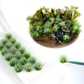 Warmtree 20 Pcs Static Grass Bushy Tufts Lowland Shrubs Model Kit Scenery Model DIY Miniature for Train Landscape Railroad Scenery Sand Military Layout Model War Gaming Terrain(Pink White)