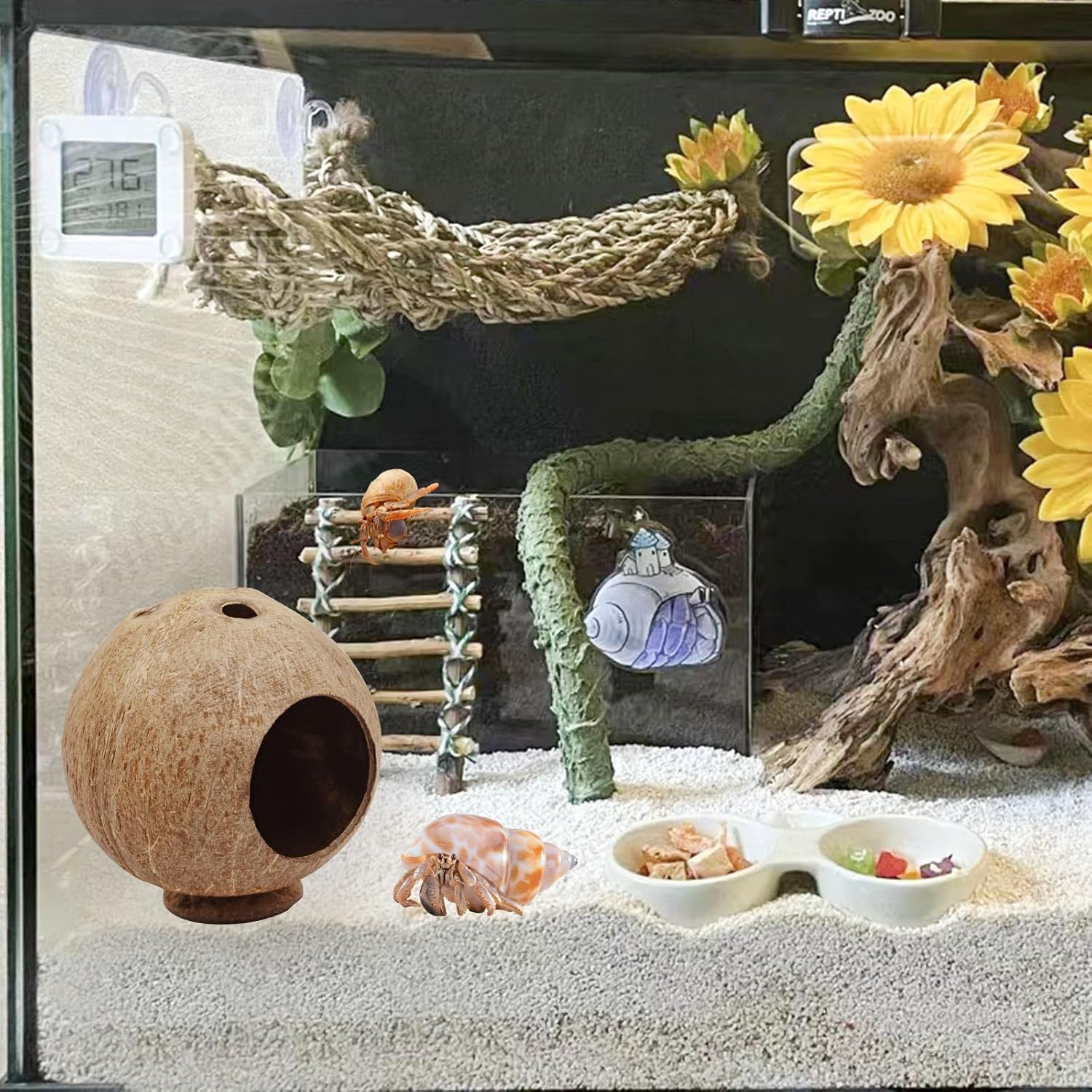Hermit Crab Accessories, Natural Coconut Habitat Hide with Base, Reptile Tank Accessories, Coconut Hide, Habitat Hideout for Hermit Crab, Tarantula, Gecko and Other Small Animals