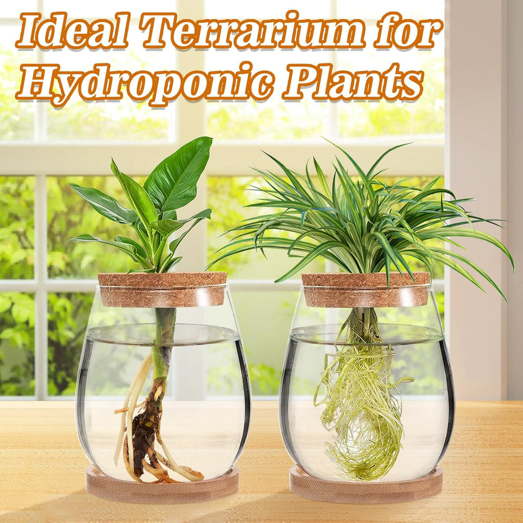 Biggun Plants Propagation Station - 2Pcs Desktop Plant Terrarium Glass Hydroponic Vases, Water Plant Jars, Gardening Gifts for Women Mom Plant Lovers (Water Drop Shape, Separated Tray Style)