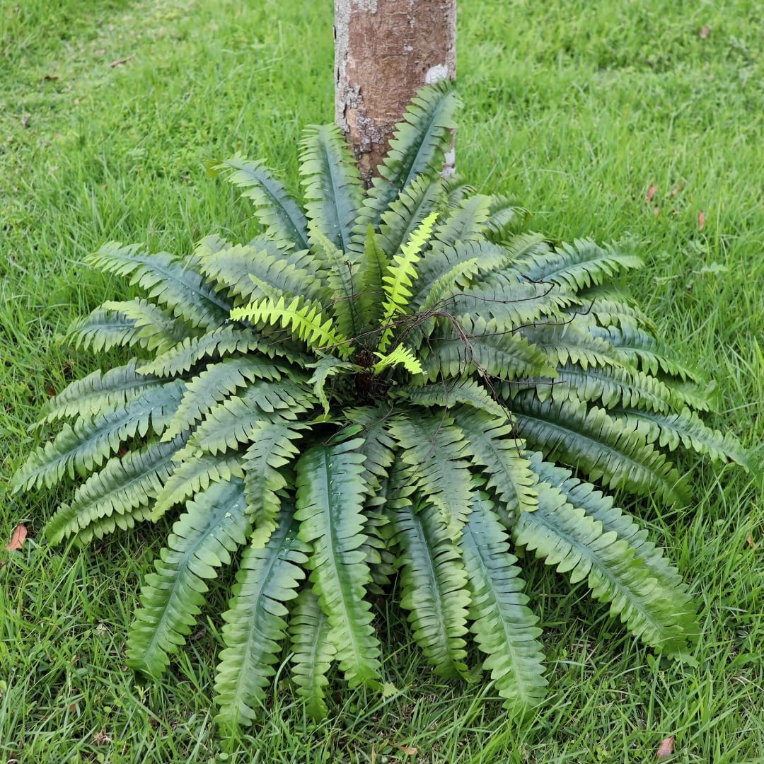 Artificial Ferns for Outdoors & Indoors, 51in Fake Fern Large Plants with 66 Fronds, UV Resistant Faux Greenery Suitable for Entrance Planter Porch Garden Hall Home Office Decor