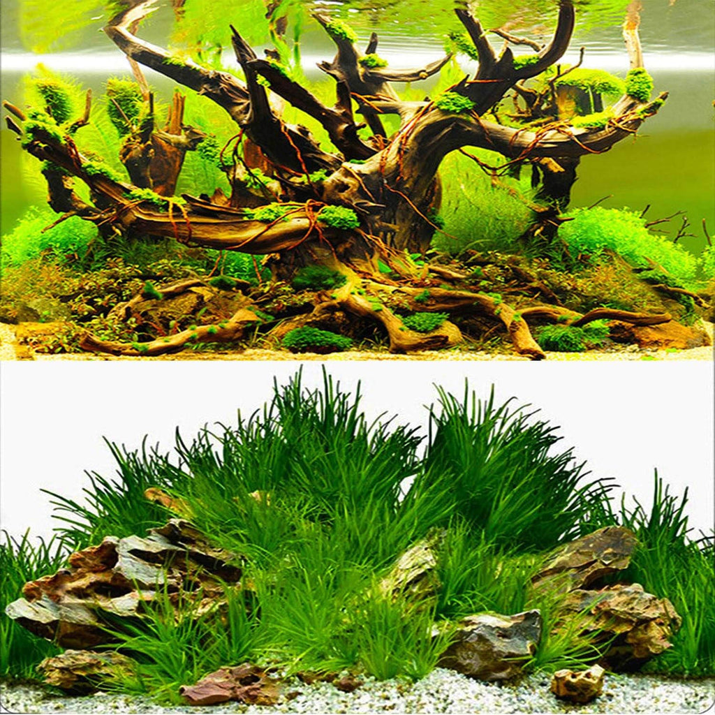 ELEBOX New 20" x 48" Fish Tank Background Paper Wallpaper 2 Sided Colorful Seaweed Water Plants Aquarium Poster Decorations