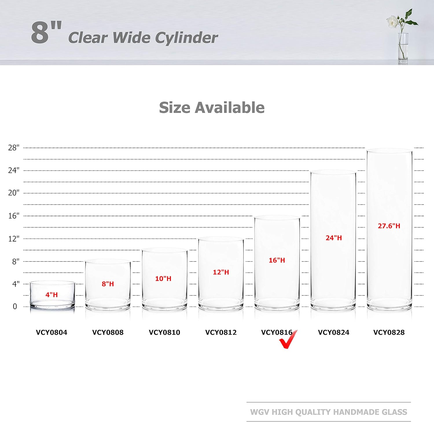 WGV Cylinder Vase, Width 8", Height 16", Clear Wide Large Diameter Flower Glassware, Floral Container, Planter Terrarium for Wedding Party Event, Home Accent Decor, 1 Piece