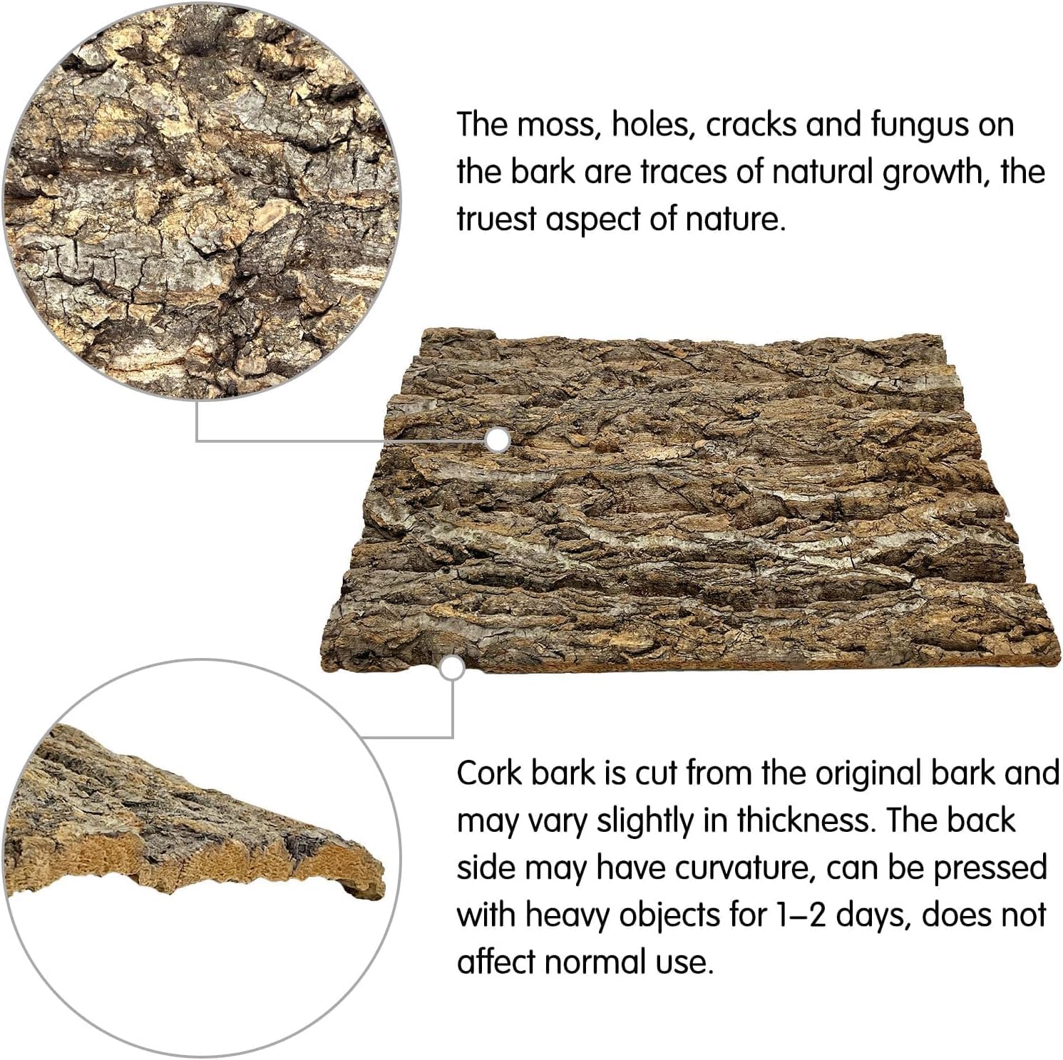 kathson 2PCS Thicker Cork Tile Background Bark 11.8 "L x 11.8" W x 0.7‘’ H Reptile Tank Terrarium Background Natural Reptile Climbing Mat for Spider Gecko Lizard Chameleon Bearded Dragon Snake