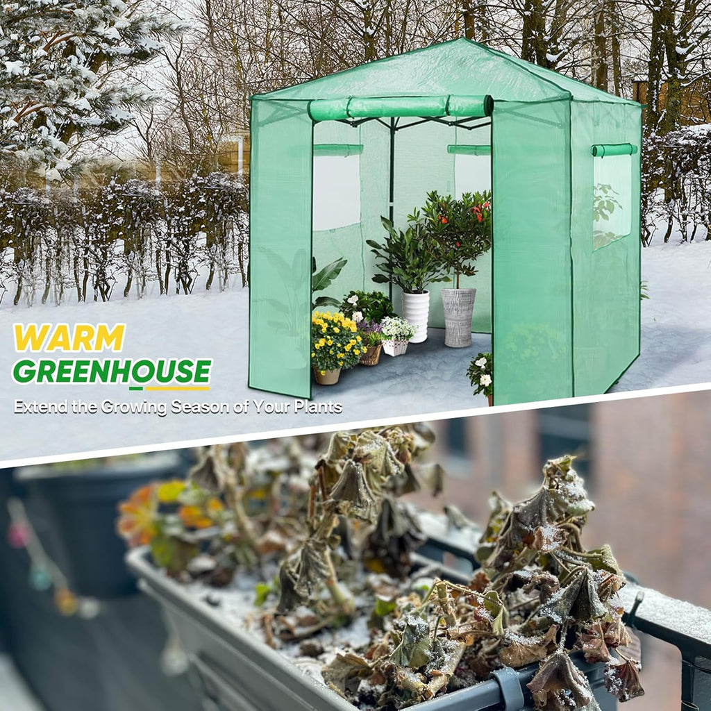 EAGLE PEAK 7x7 Pop up Greenhouse Portable Walk-in Outdoor Gardening Green House with 2 Foldable Shelves, Roll-up Zipper Entry Door and 3 Mesh Windows, PE Cover, Green/Clear