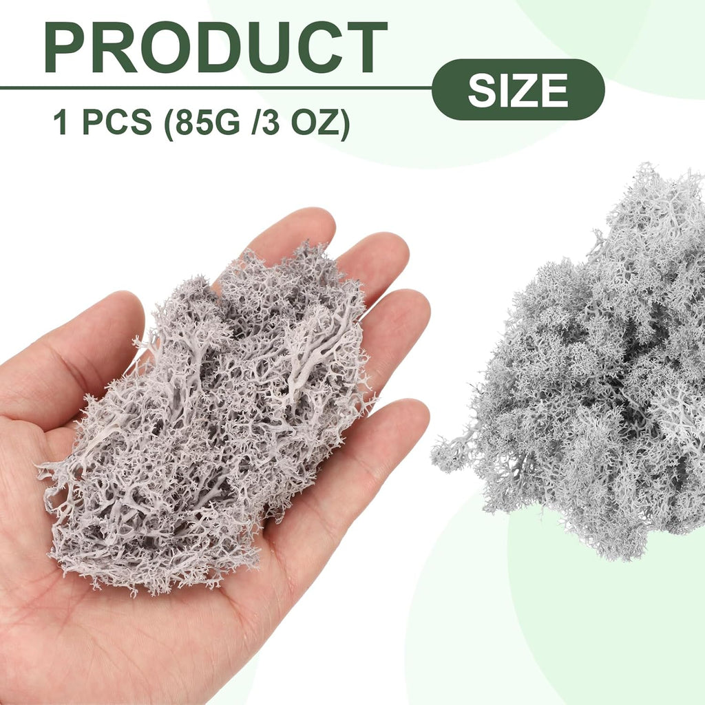 MECCANIXITY 3oz Preserved Reindeer Moss, Light Grey Decorative Artificial Fake Moss for Potted Plants Indoor Crafts Lichen Centerpieces Decor