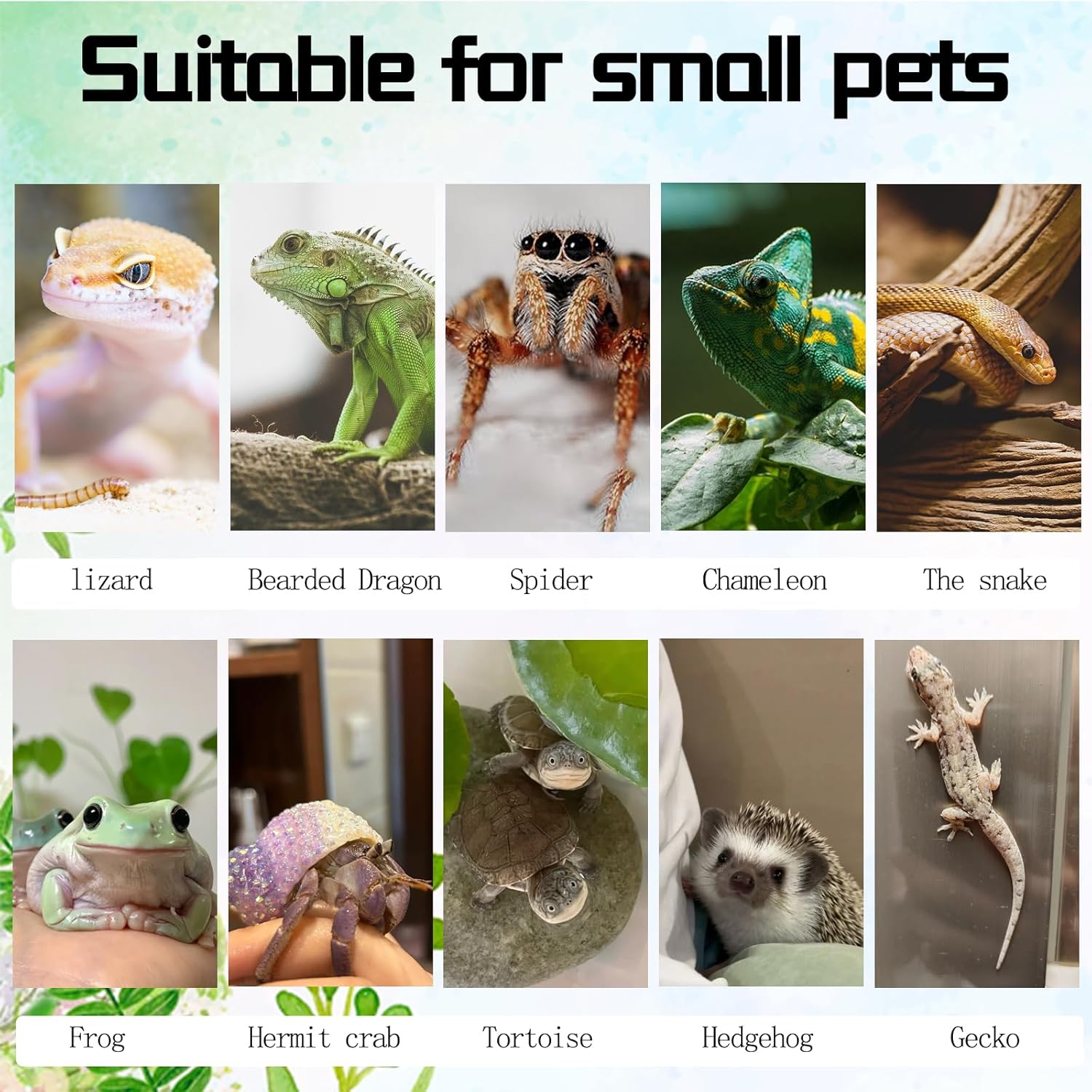 Hamiledyi 8PCS Cork Terrarium Background 15.7x11.8in Natural Large Cork Bark Backdrop Reptile Climbing Mat Tank Habitat Decor for Spider Lizard Chamelon Turtle Beared Dragon