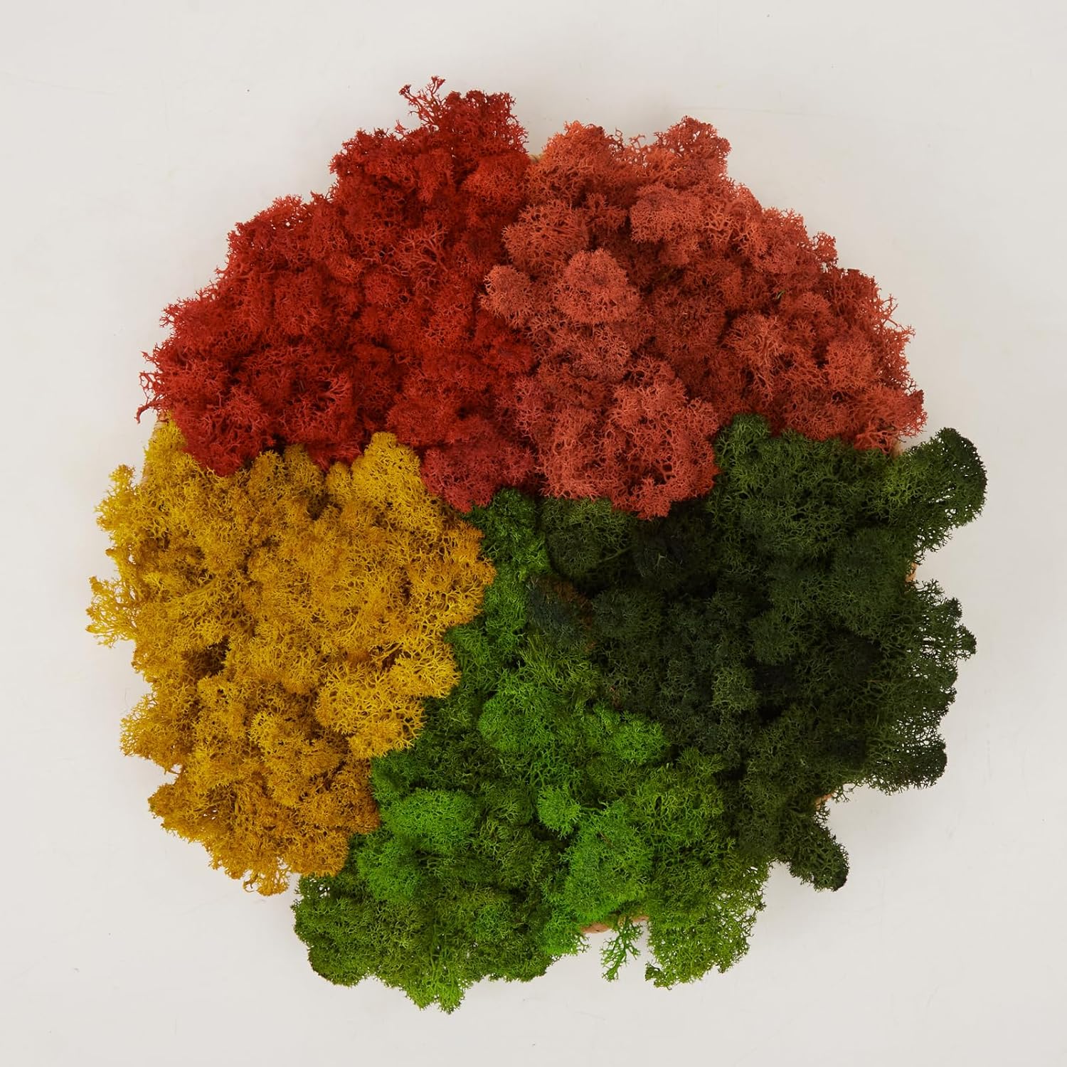 Preserved Reindeer Moss Natural Green DIY Kit Gardenning Art Wall Decor Florist Decor Easter Table Decor Wedding