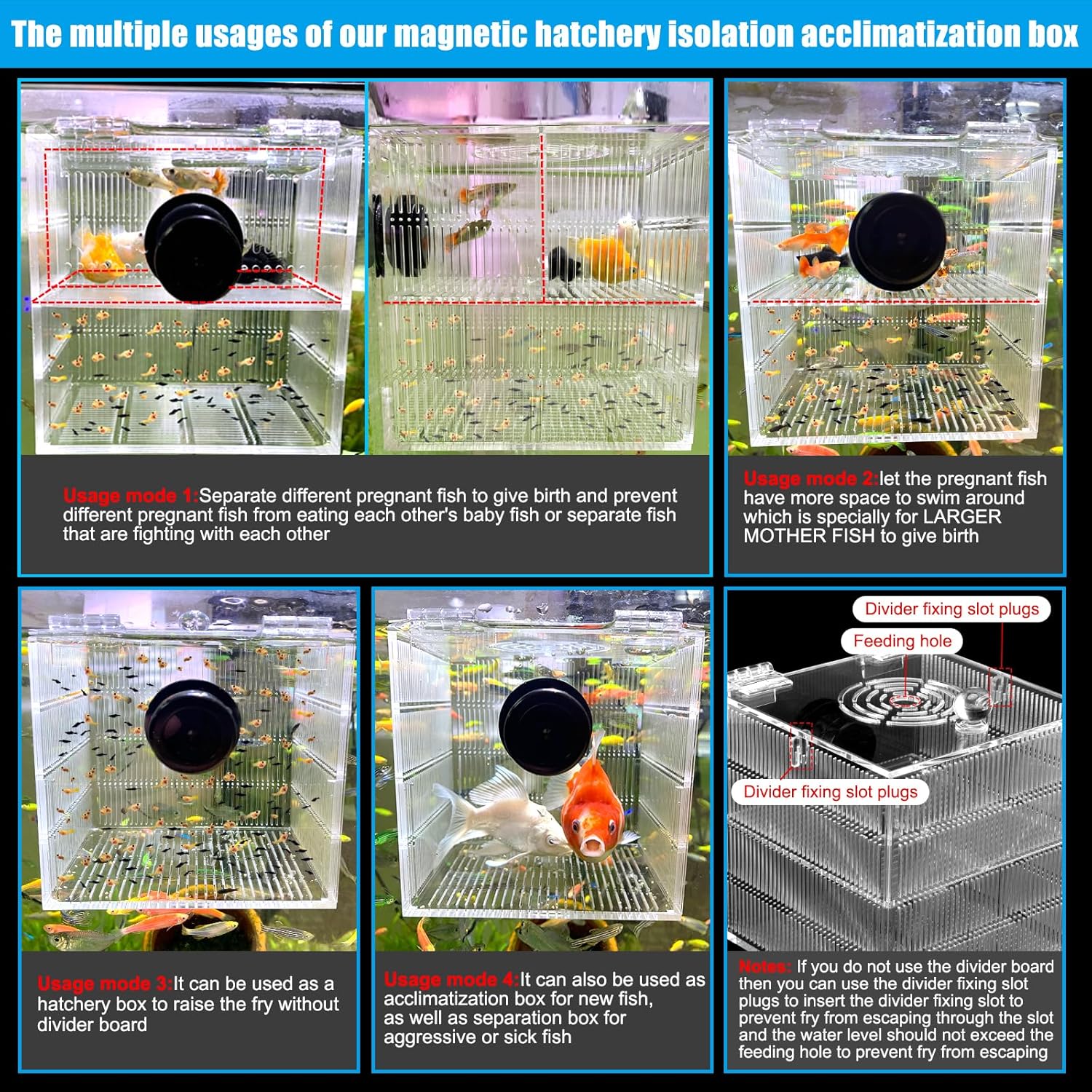 Magnetic Fish Breeder Box for Isolation Boxes (4.71 Inch with 2 Divider（Sealed Bottom Version）)