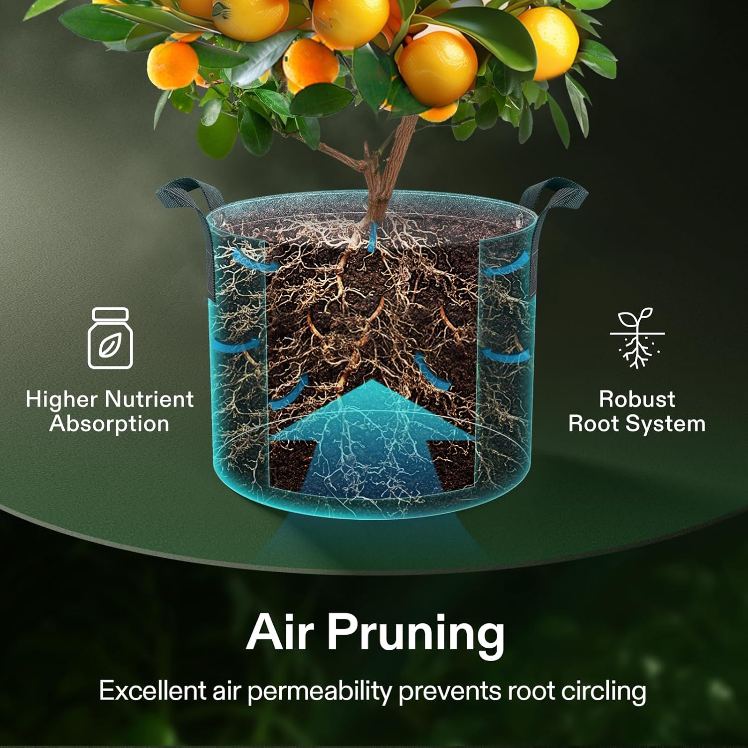 VIVOSUN 5-Pack 15 Gallon Grow Bags, 500G Thick Nonwoven Fabric Pots with Strap Handles, Multi-Purpose Rings, for Low Stress Plant Training Fruits, Vegetables, and Flowers