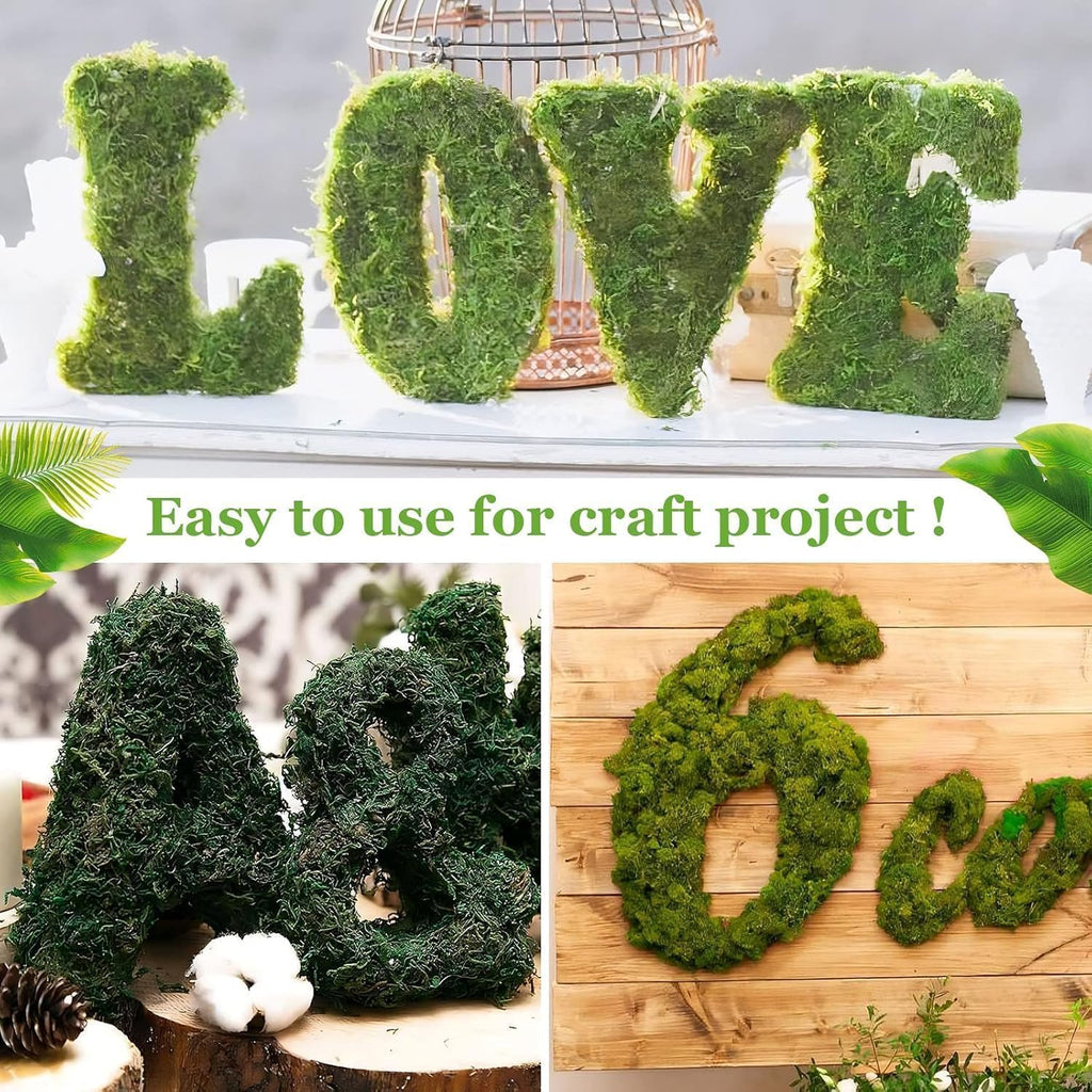 Riare 2.6LBS Artificial Fake Moss for Fake Plants Indoor- Premium Faux Craft Moss for Potted Plant, Fresh Forest Green for Hamsters Micro-Landscape Terrariums Centerpieces Decor