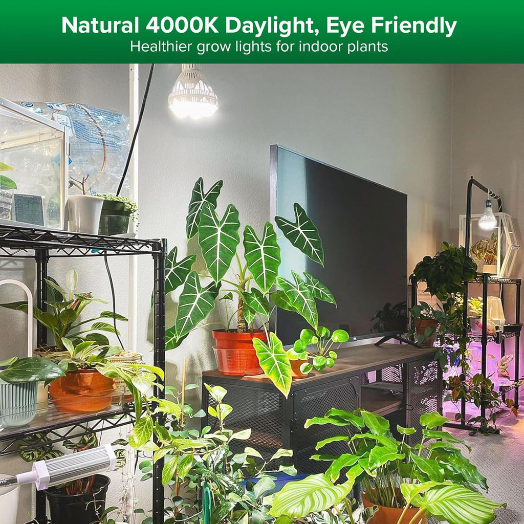 SANSI Grow Lights for Indoor Plants Full Spectrum, 36W Grow Light Bulb (400 Watt Equivalent) with Optical Lens for High PPFD, PPF 65.6 umol/s LED Energy Saving Plant Light Bulb for Seeding and Growing