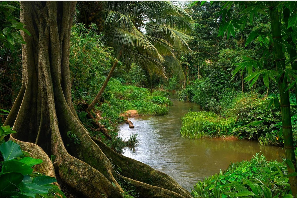 Forest Aquarium Background Jungle Rainforest River Terrarium Background Lush Green Trees with Moss Fish Tank Background Forest Stream Green Plants Reptile Habitat Background Poster Vinyl 36x24in