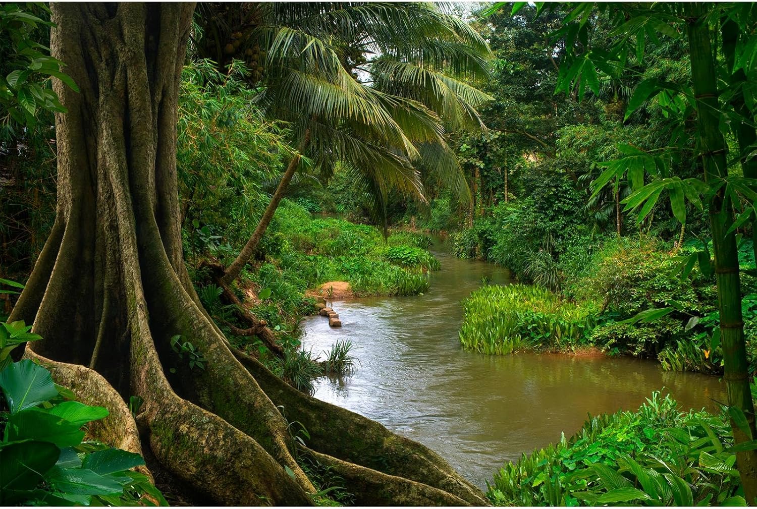 Forest Aquarium Background Jungle Rainforest River Terrarium Background Lush Green Trees with Moss Fish Tank Background Forest Stream Green Plants Reptile Habitat Background Poster Vinyl 24x16in