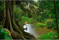 Forest Aquarium Background Jungle Rainforest River Terrarium Background Lush Green Trees with Moss Fish Tank Background Forest Stream Green Plants Reptile Habitat Background Poster Vinyl 48x24in