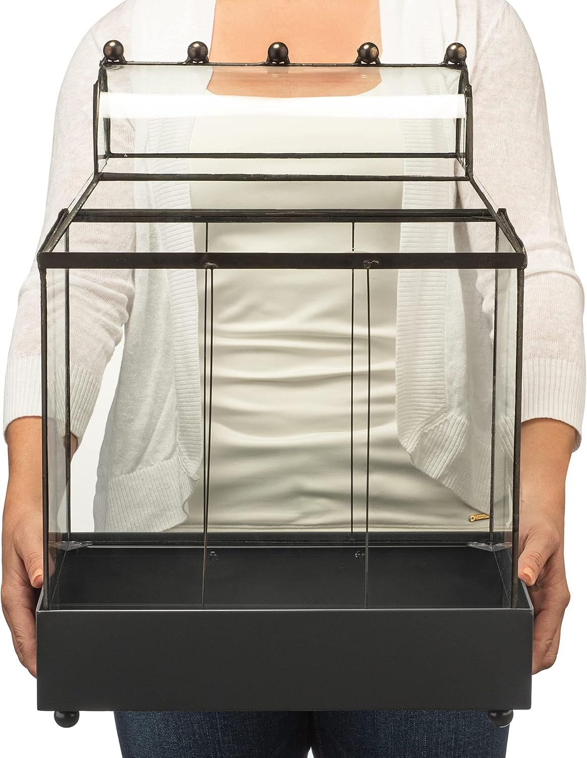 H Potter Glass Terrarium Succulent Planter Wardian Case Container for Plants WAR105