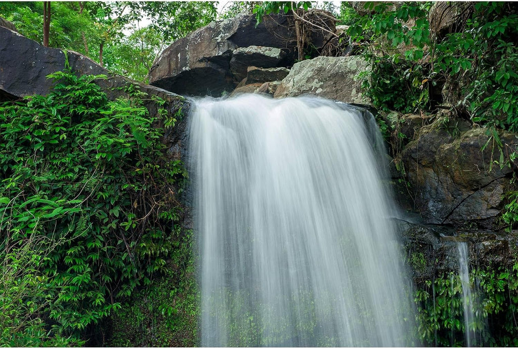 Waterfall Aquarium Background Jungle Plants Large Rocks Terrarium Background Falls Green Plants Natural Landscape Fish Tank Background Waterfall Rock Style Reptile Habitat Background Vinyl 48x18in