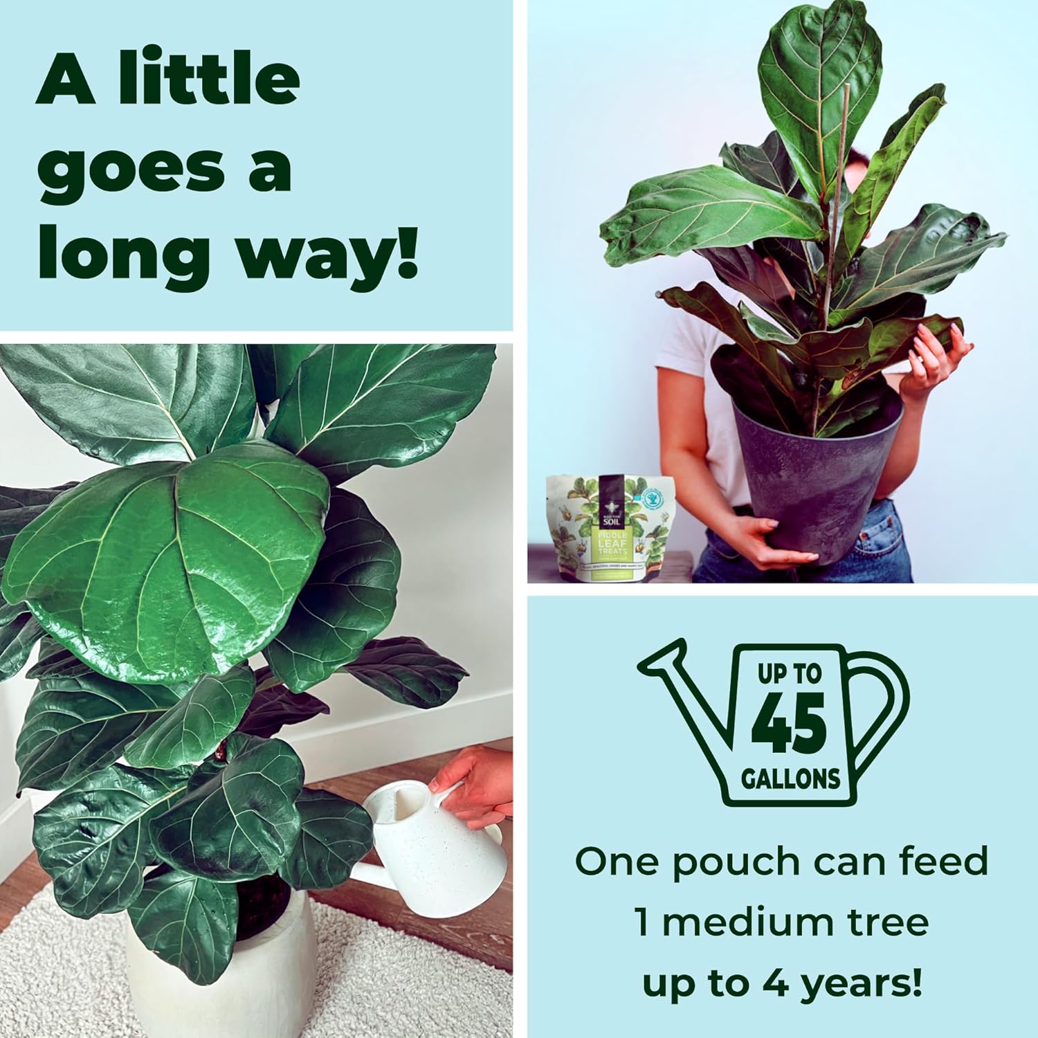 Fiddle Leaf Fig Plant Food - Fiddle Leaf Treats | Urea-Free Fertilizer | Fast Acting for Bigger Leaves and Stress Tolerance, 4X More Concentrated Than Liquid Plant Food | for All Ficus Plants