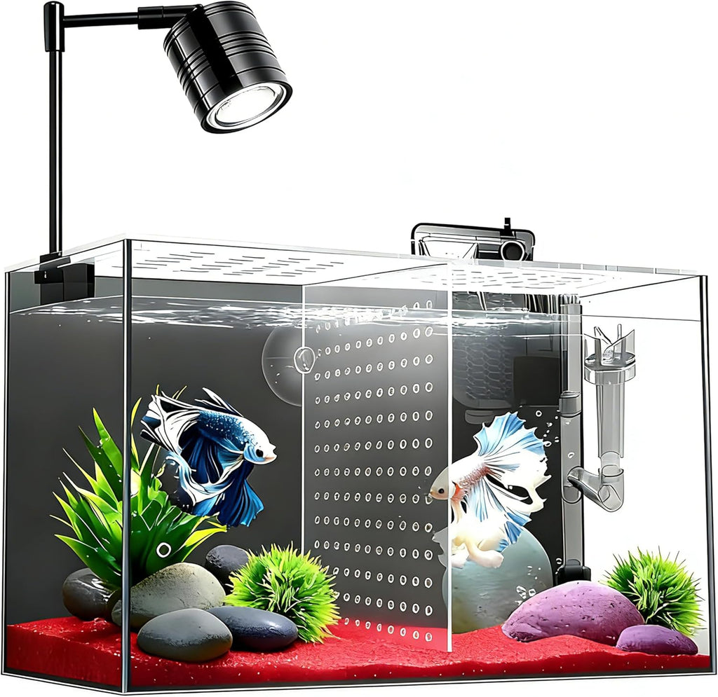 Fish Tank, 3 Gallon Ultra-Clear Glass Fish Aquarium, with Separator Plate for Betta, Fish Tank Starter kit with Filter and Led Light, Black