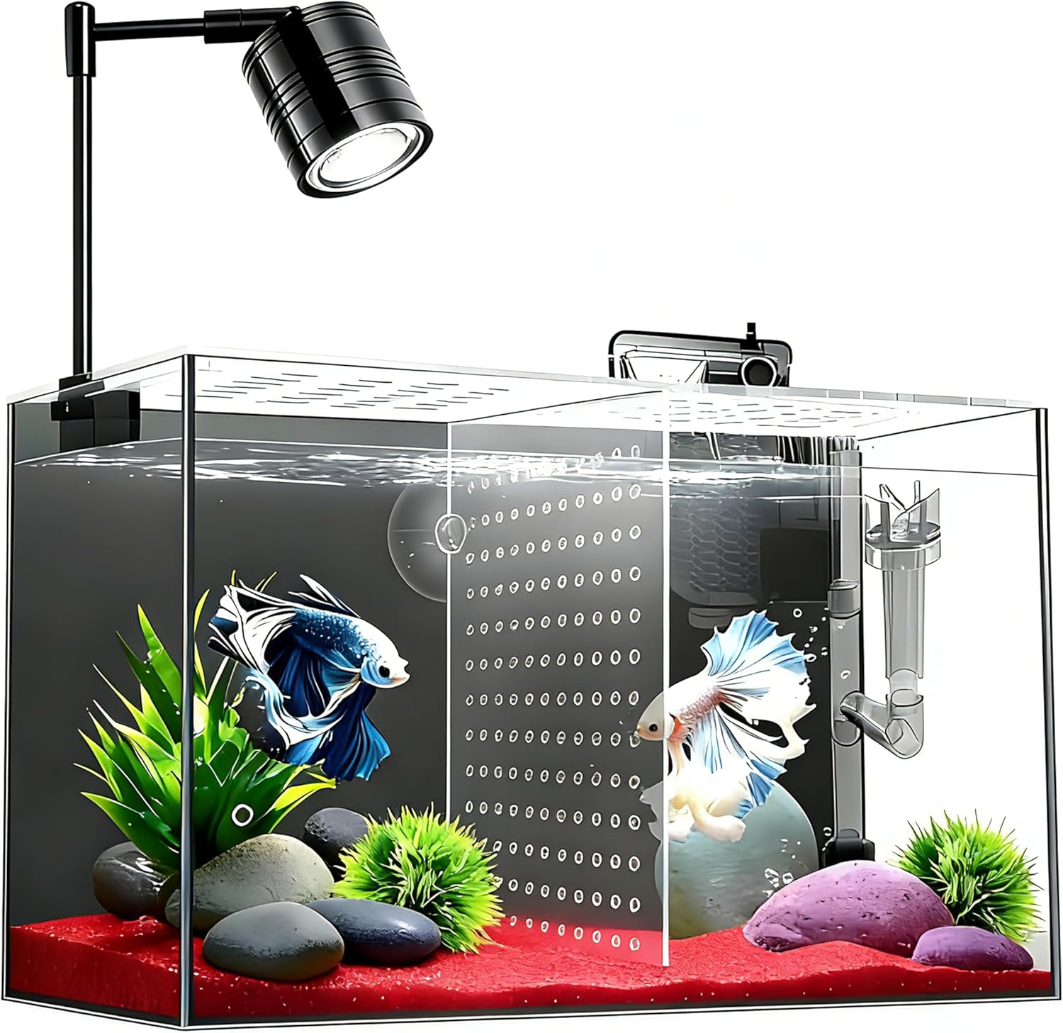 Fish Tank, 3 Gallon Ultra-Clear Glass Fish Aquarium, with Separator Plate for Betta, Fish Tank Starter kit with Filter and Led Light, Black