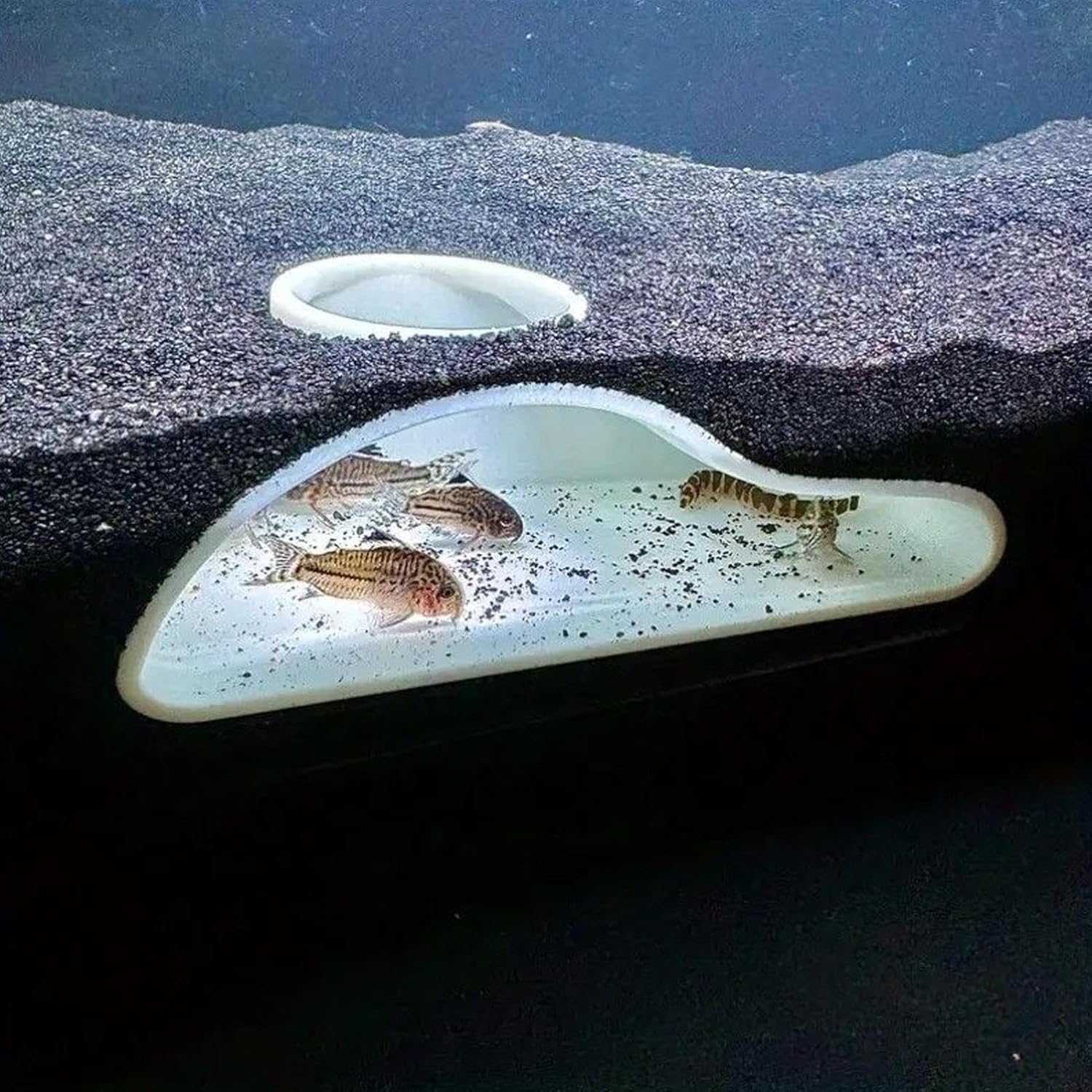 Aquarium Underground Hideaway,Viewing Fish Shrimp Under Gravel Tunnel - Fish Tank Ornaments for Kuhli Loach Chili Rasbora Hermit Crab Corydora Catfish Clown Loach