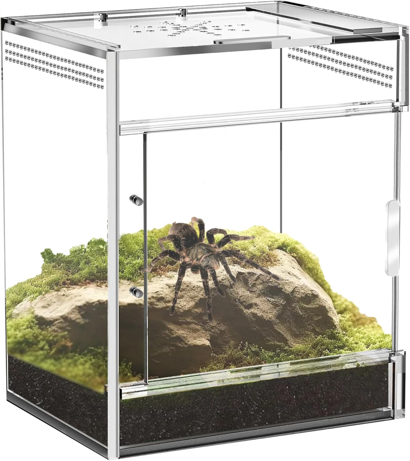 Jumping Spider Enclosure, Compact Acrylic Terrarium for Jumping Spiders, Tarantulas, and Praying Mantis - Small Insect Habitat Enclosure with Transparent Design (5.9x5.9x9.0 Inch)