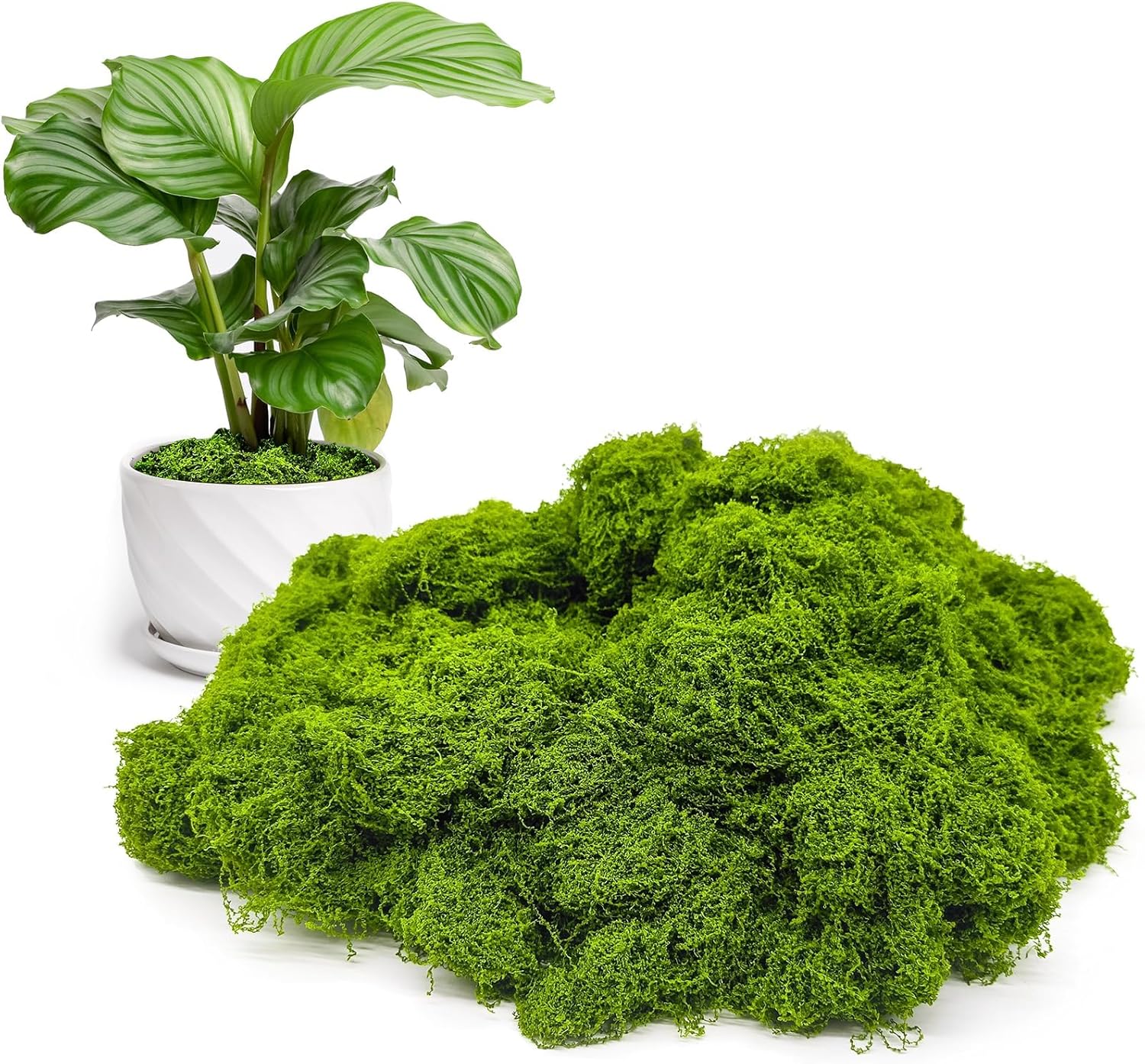 Aspamms Fake Green Moss for Potted Plants Indoor,10.6oz Artificial Moss for Crafts, Faux Moss Decor for Fairy Garden, DIY Decorative, Model Making, Walls, Glass Containers, Home