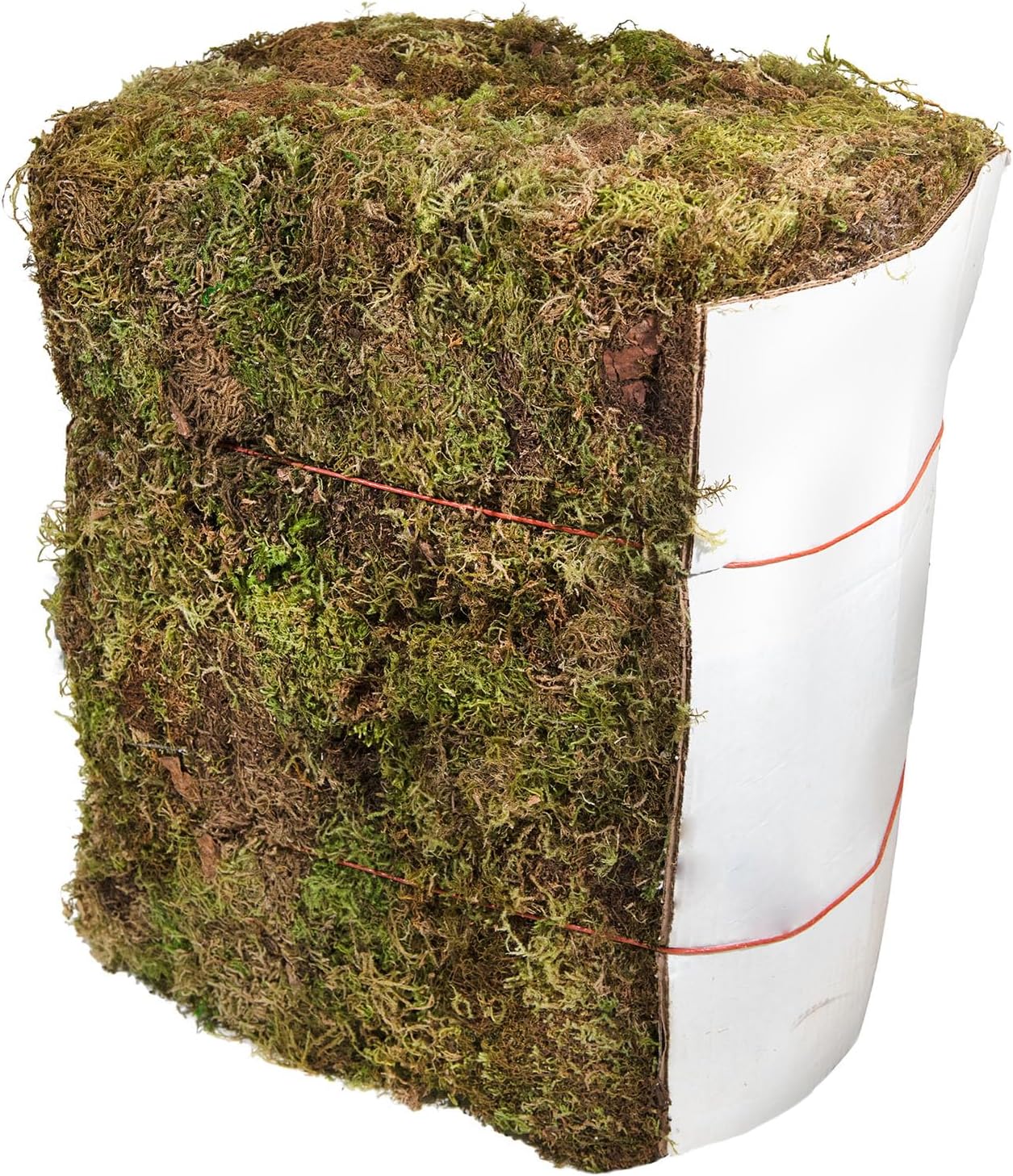 SuperMoss 7 59834 21706 0 Moss, Appx. 25 lb Bale, Natural Dried