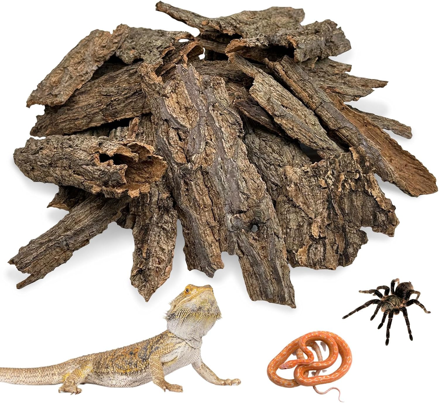 Reptile Cork Bark Bulk 1.5 Lb Cork Wood for Terrarium, Natural Flat Cork Bedding Terrarium Substrate for Bearded Dragon Snake Spiders Hermit Crabs Geckos Tortoise