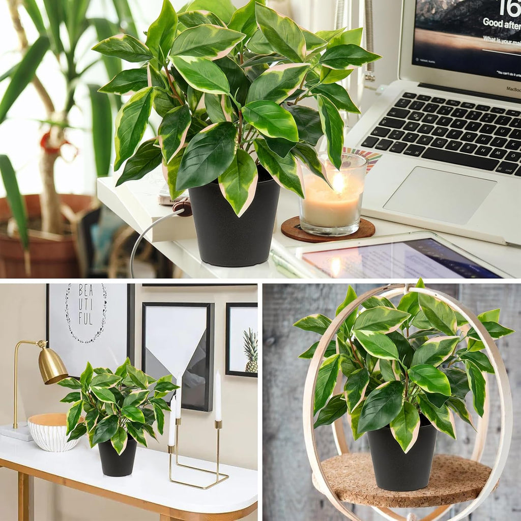 Oairse Artificial Plants Indoor Small Fake Plants in Pots Faux Pothos N‘ Joy Potted Plant Fake Indoor Plants with Black Pots for Bathroom Living Room Office Desk Shelves