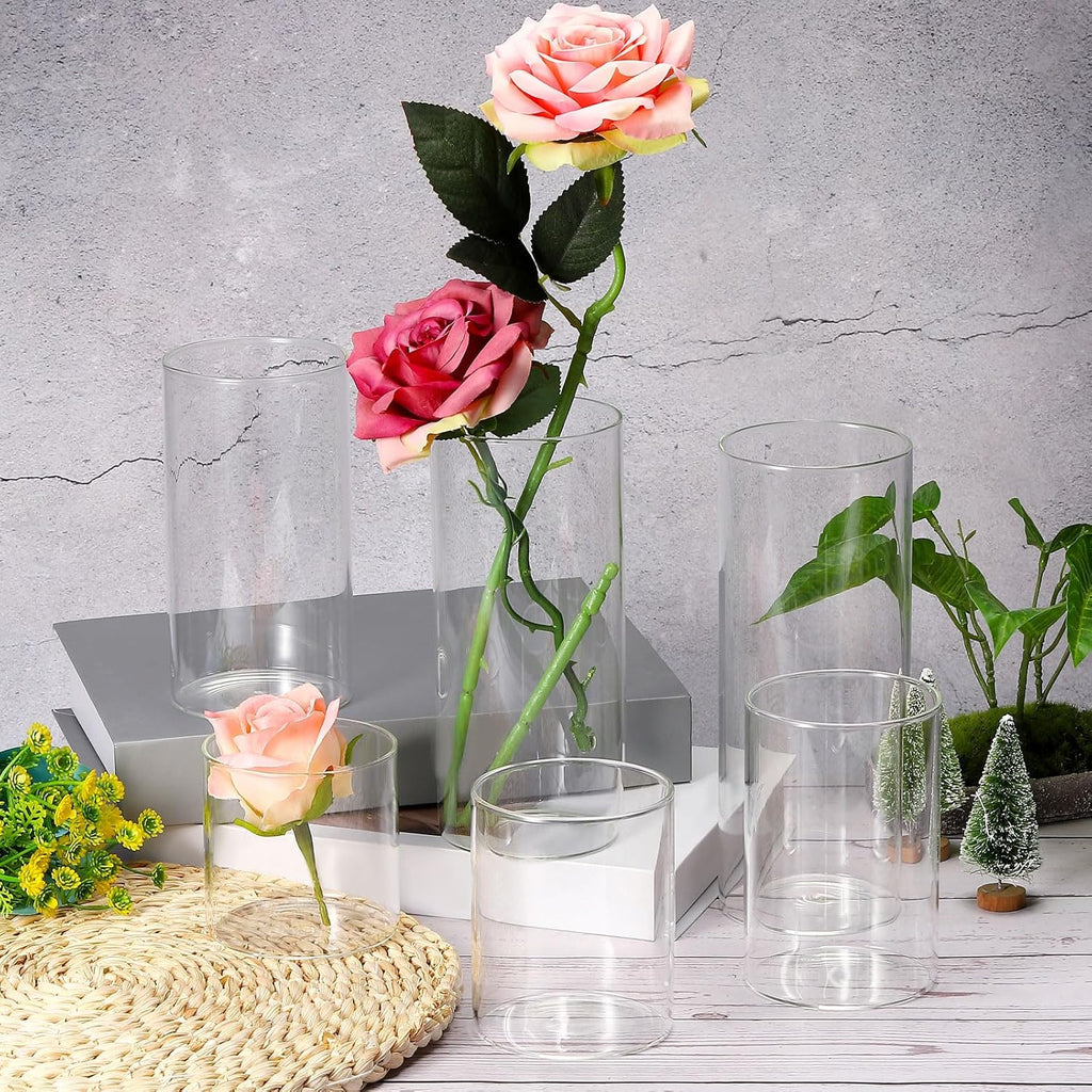 PATIKIL Clear Glass Cylinder Vase, 5.9" Tall and 3.1" Dia, 650 mL Capacity, Modern Tabletop Vase for Home Decor, Wedding Centerpieces