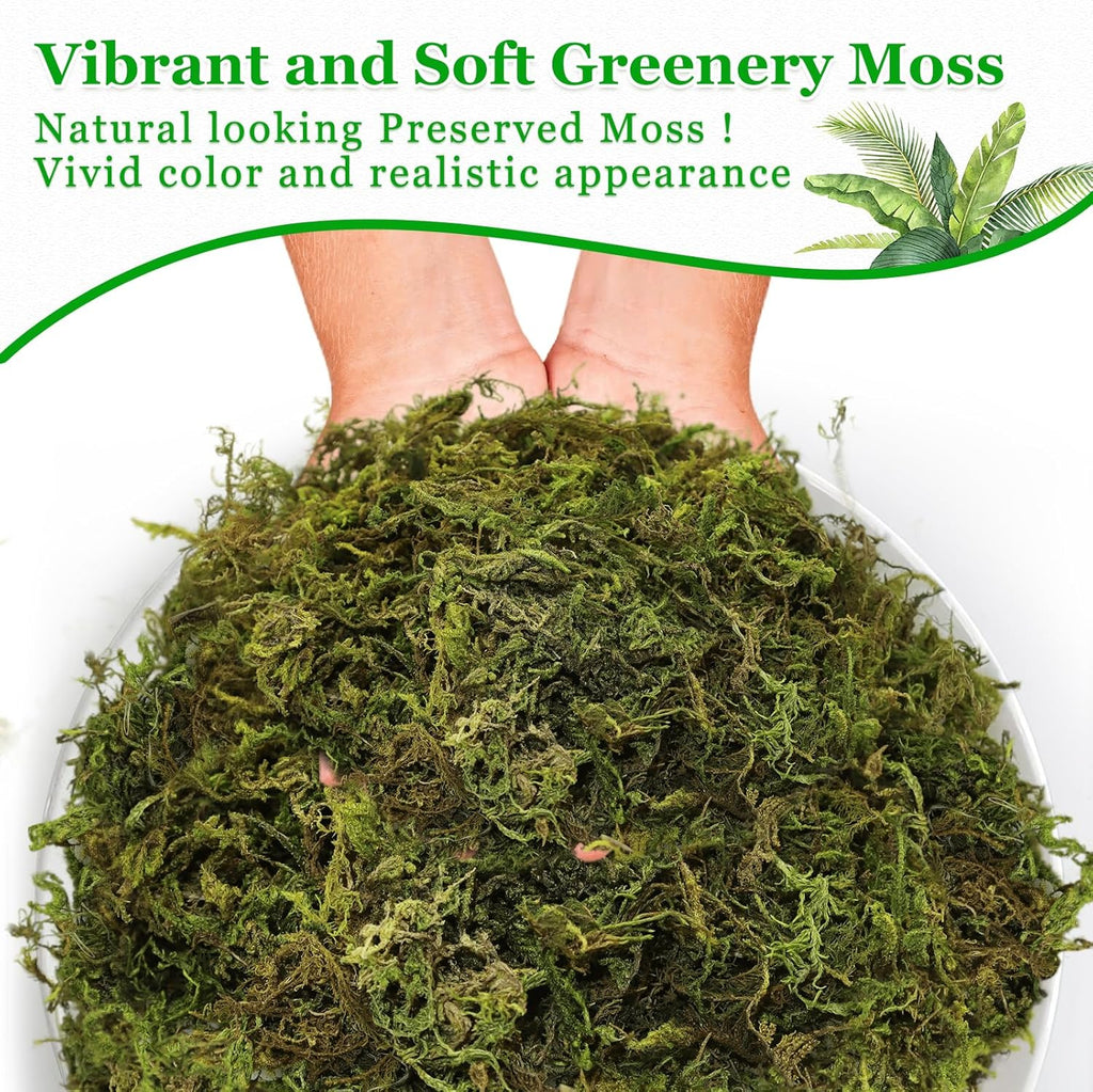 Riare 7OZ Artificial Fake Moss for Fake Plants Indoor- Premium Faux Craft Moss for Potted Plant, Fresh Forest Green for Hamsters Micro-Landscape Terrariums Centerpieces Decor