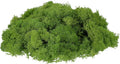 uxcell Preserved Reindeer Moss, 7oz Fake Moss for Crafts Artificial Dried Moss for Decoration Terrariums Potted Plants, Light Green