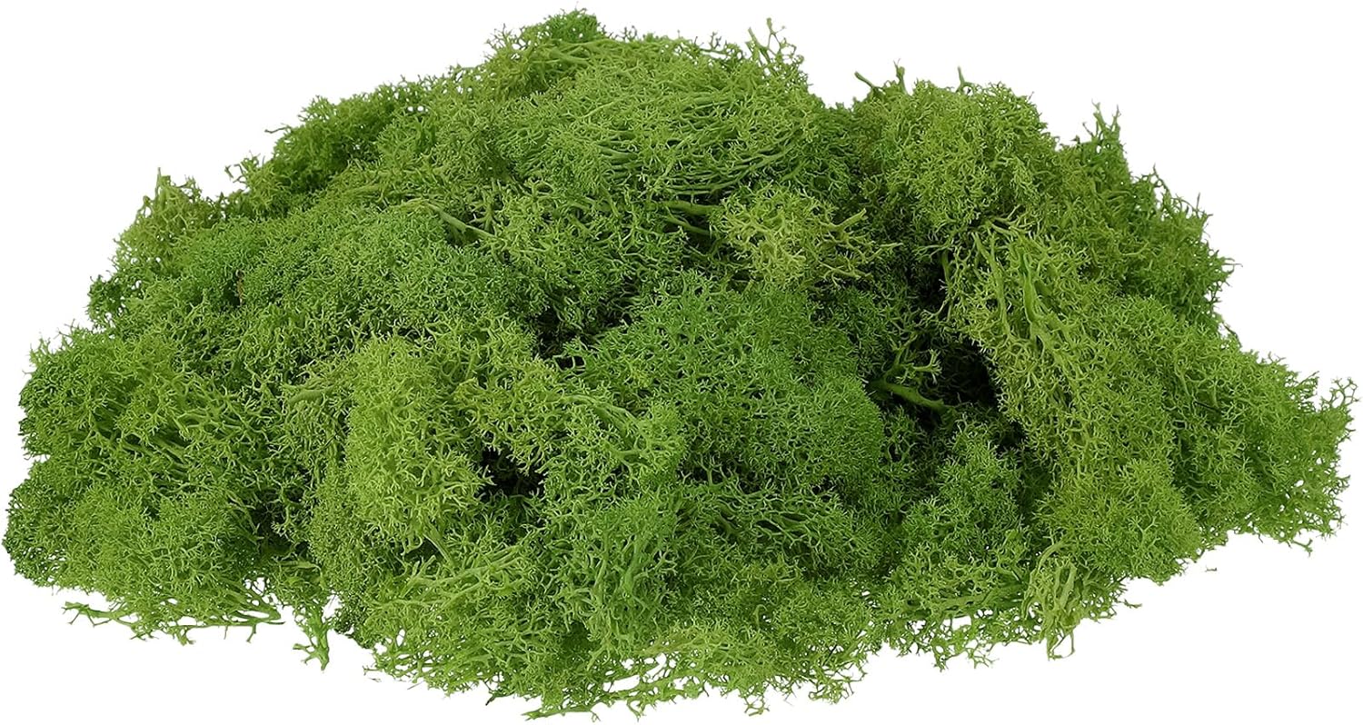 uxcell Preserved Reindeer Moss, 7oz Fake Moss for Crafts Artificial Dried Moss for Decoration Terrariums Potted Plants, Light Green